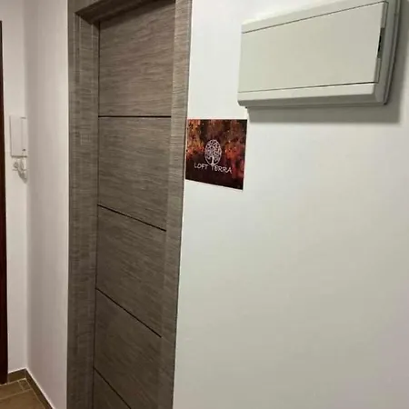 Appartamento Terra Y Onix Zona Centro Elda